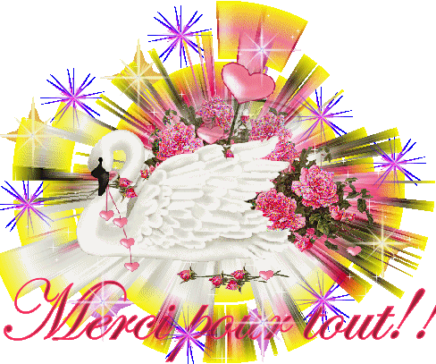 Je vous adore a tous et je vous remercie