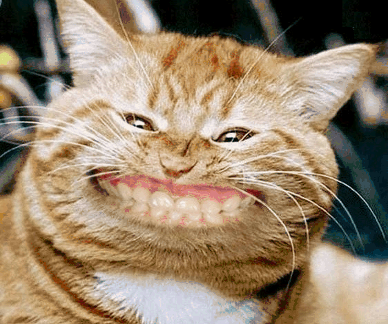 la magie d'un sourire