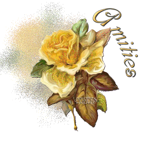 Merci pour  votre Amiti�(e)