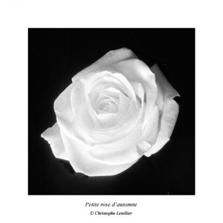 merci du fond du coeur