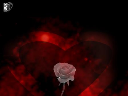 Bonne soir�e a tous